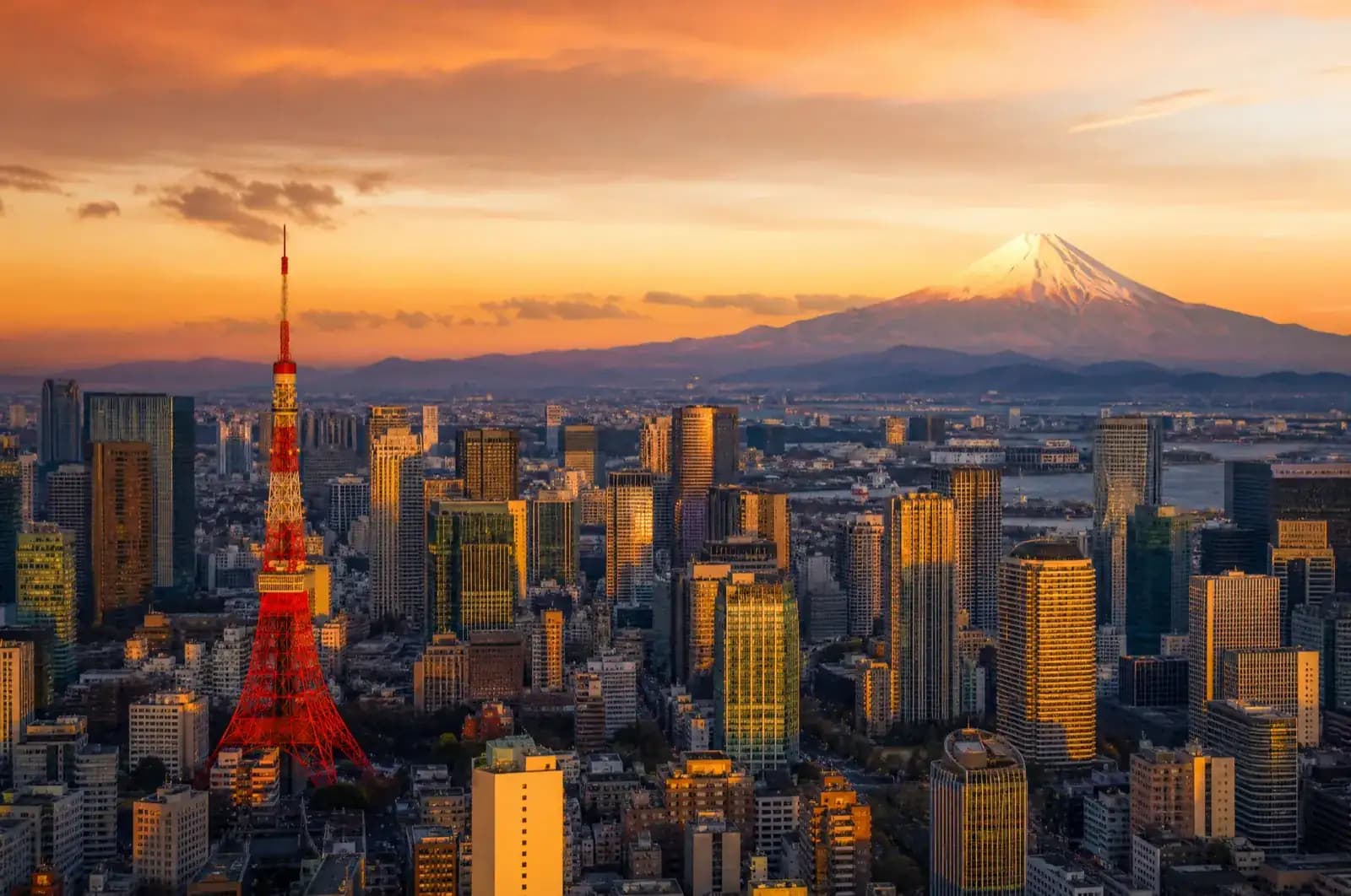 Private jet charter in Tokyo