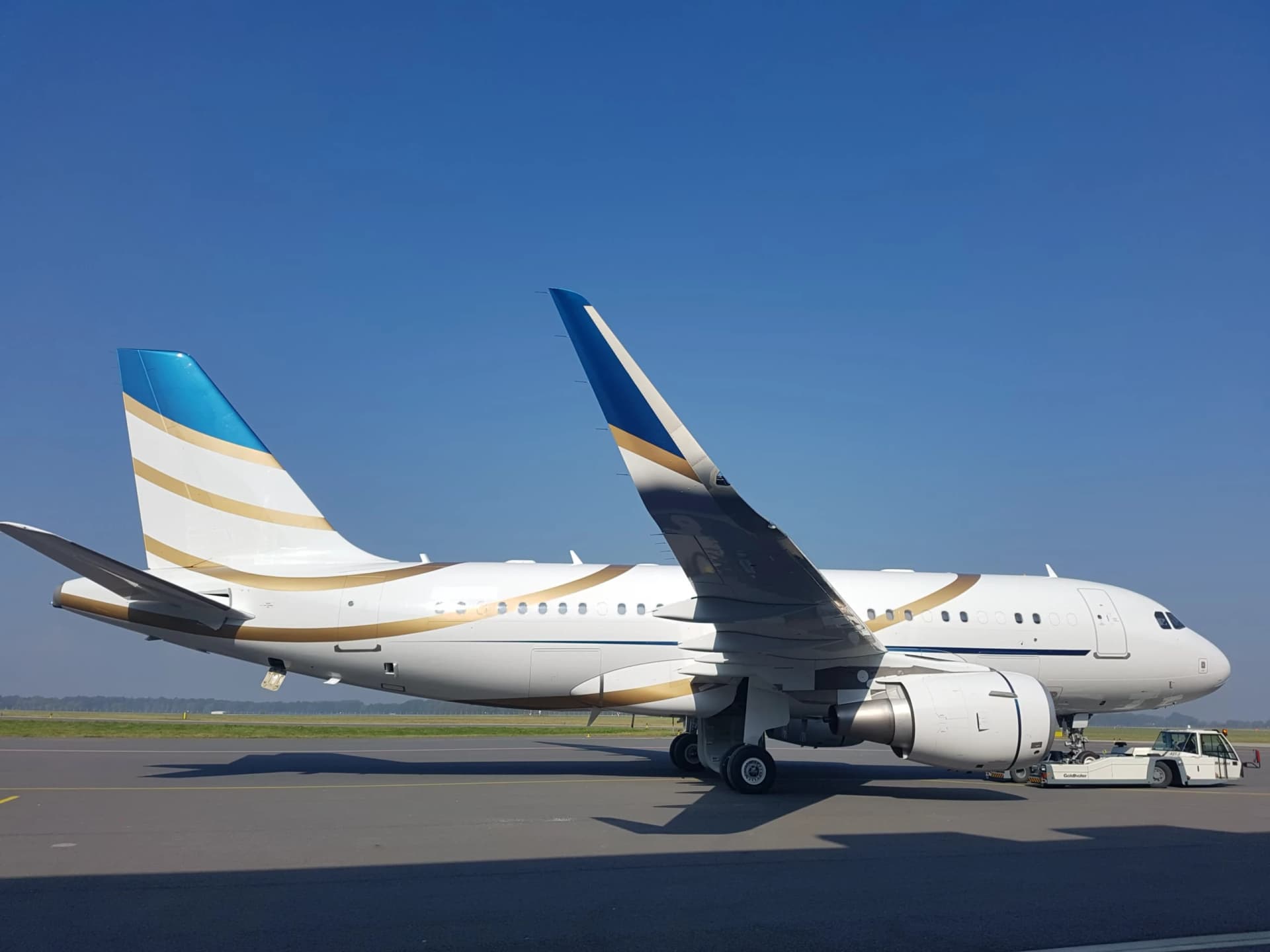 Airbus ACJ319 VIP corporate jet, exterior view